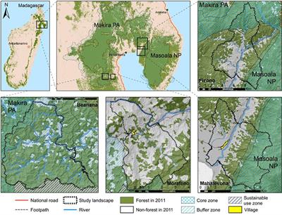 Capabilities Under Telecoupling: Human Well-Being Between Cash Crops and Protected Areas in North-Eastern Madagascar